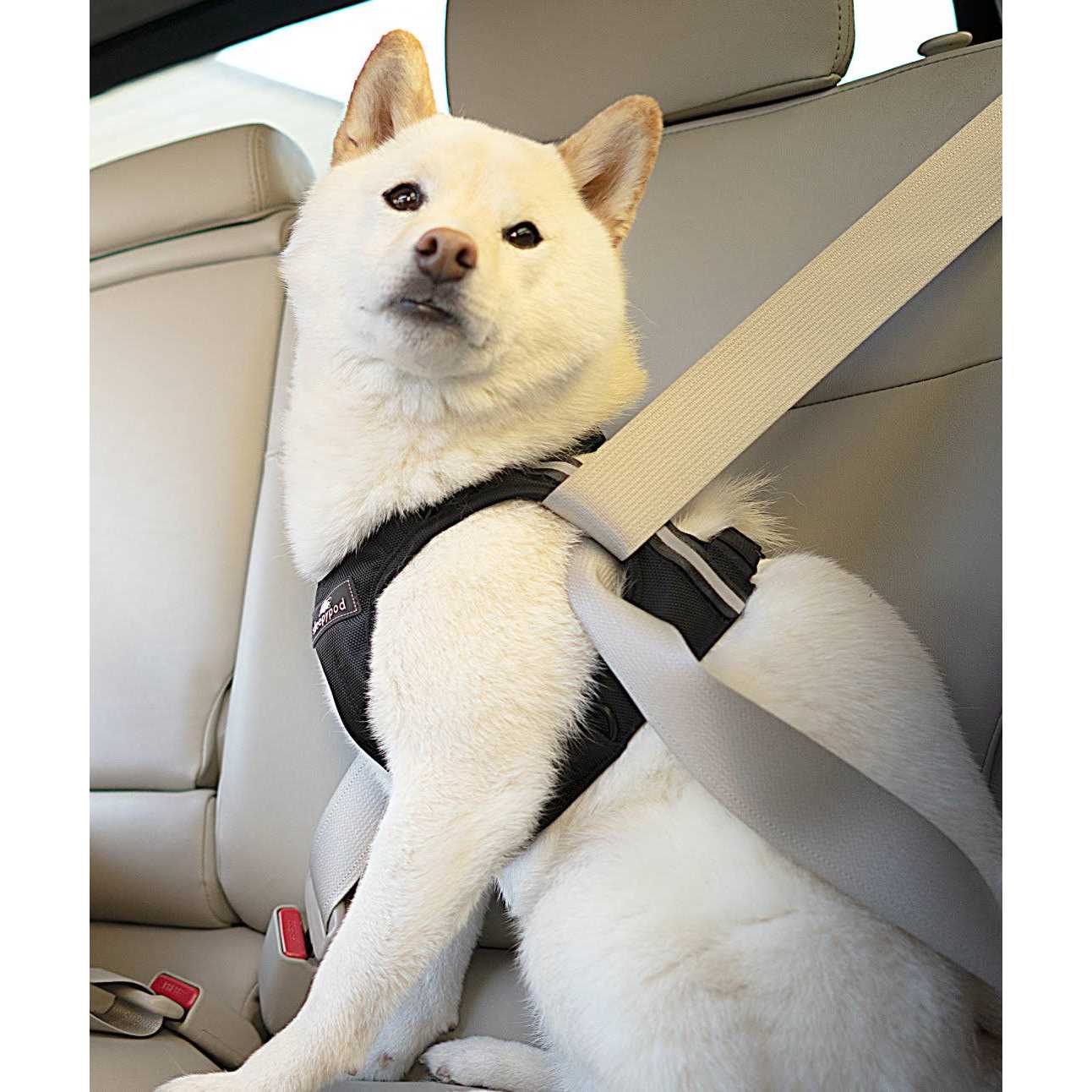 Sleepypod Clickit Terrain Safety - Nail Gallerys