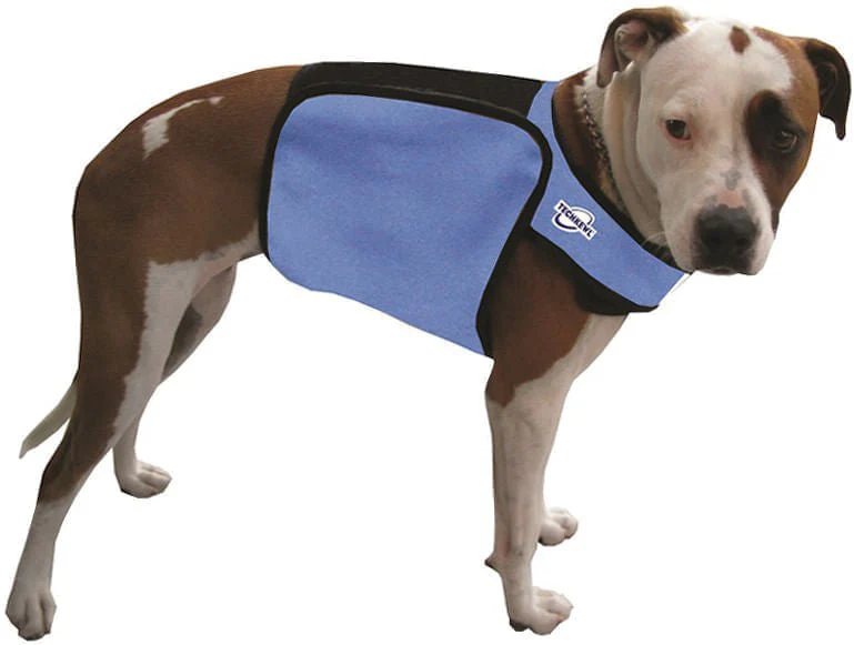 TechKewl Phase Change Cooling Dog Coat - Nail Gallerys