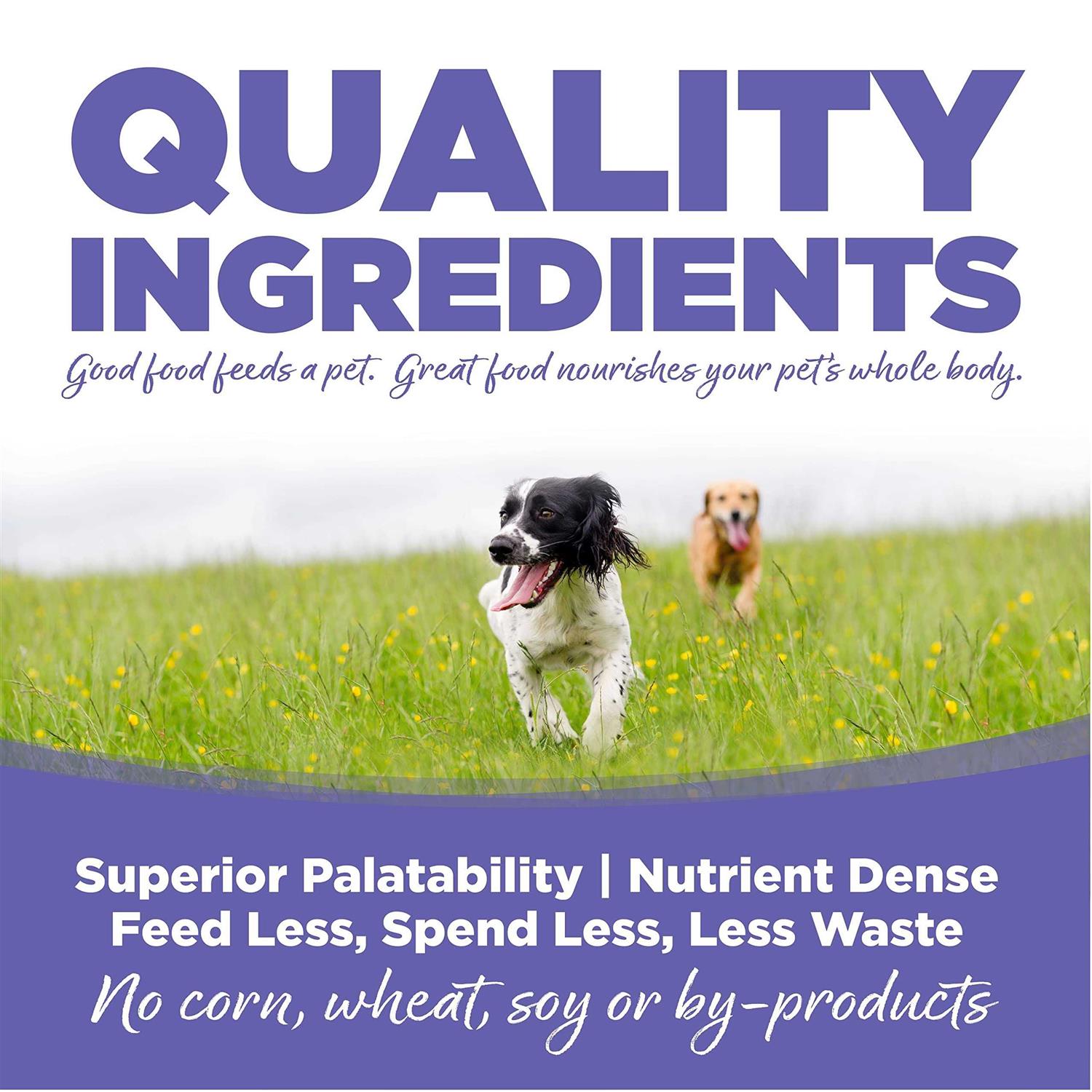 NutriSource Chicken Rice Small Medium-Breed Puppy Dry Dog Food - Nail Gallerys