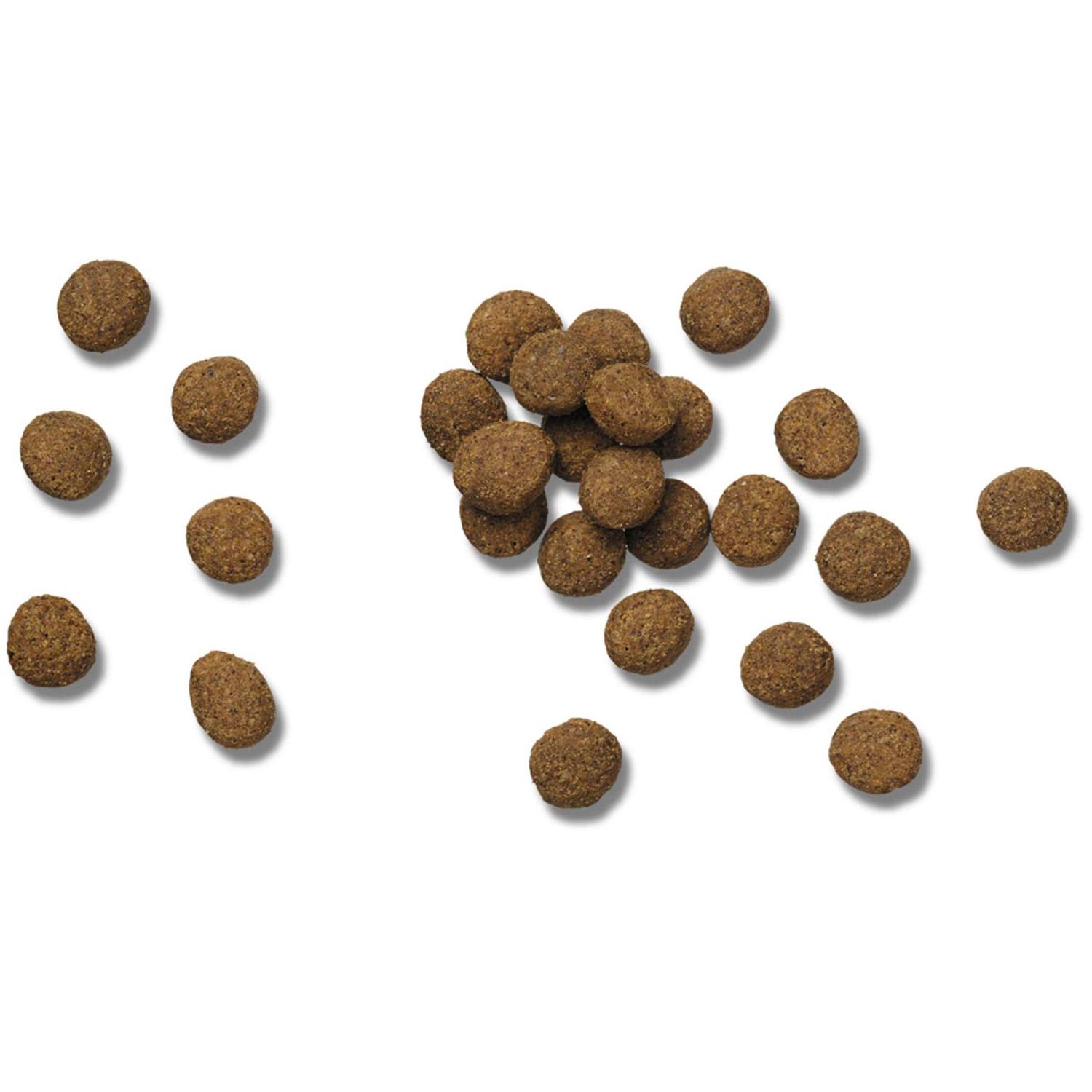 Purina Pro Plan Veterinary Diets DRM Dermatoligic Management Naturals Dry Dog Food - Nail Gallerys