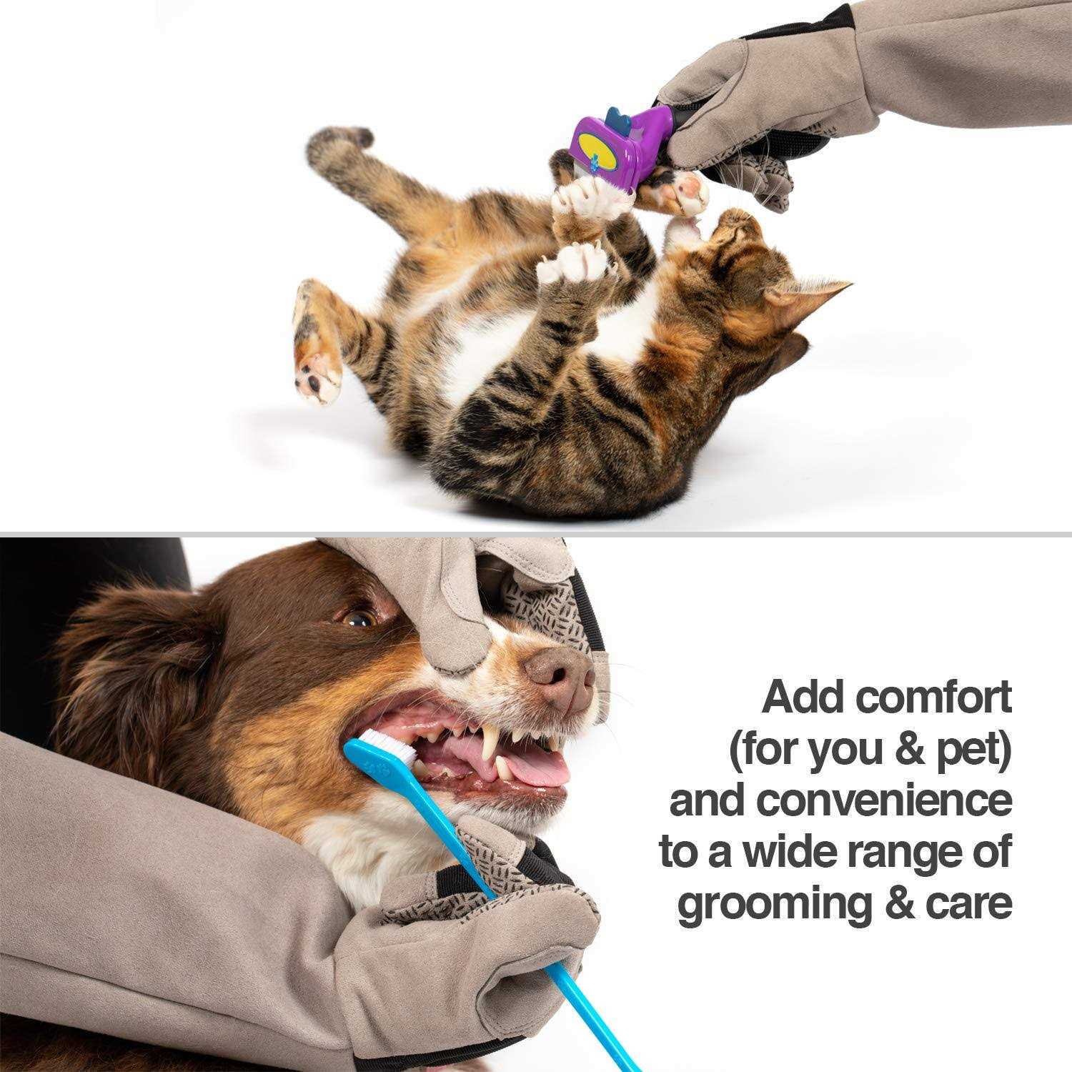 PetFusion Multipurpose Pet Glove for Grooming - Nail Gallerys