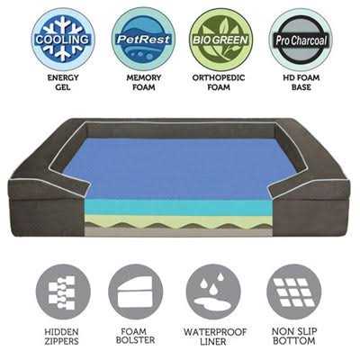 Sealy Lux Orthopedic Memory Foam Dog Bed - Nail Gallerys