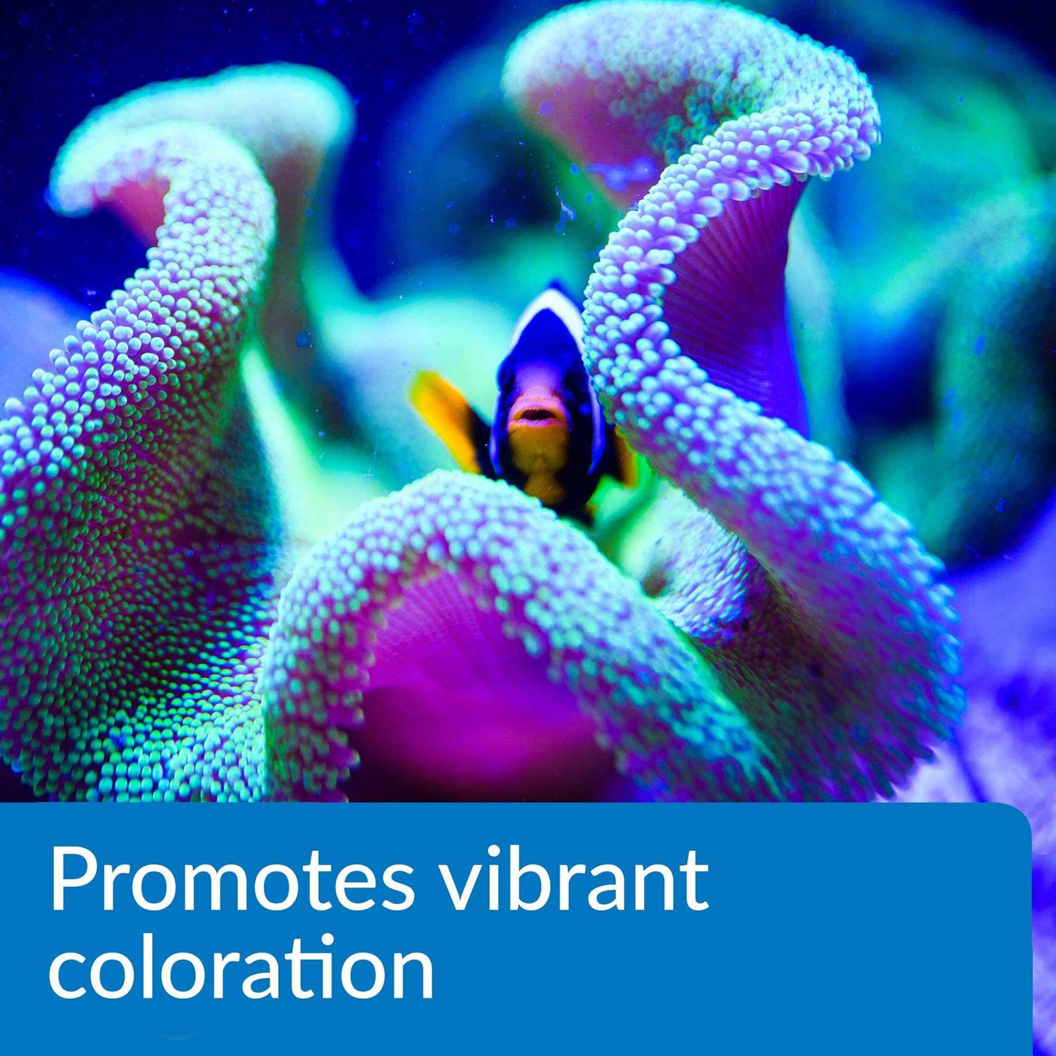 API Marine Complete Trace Aquarium Water Conditioner - Nail Gallerys