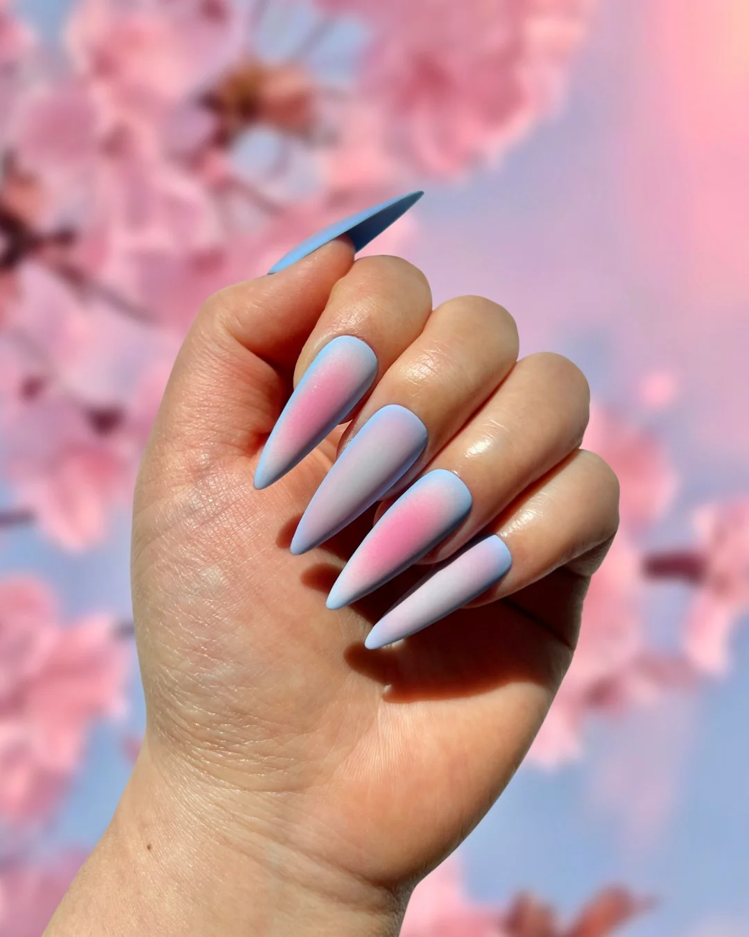 Sakura Blossom - Nail Gallerys