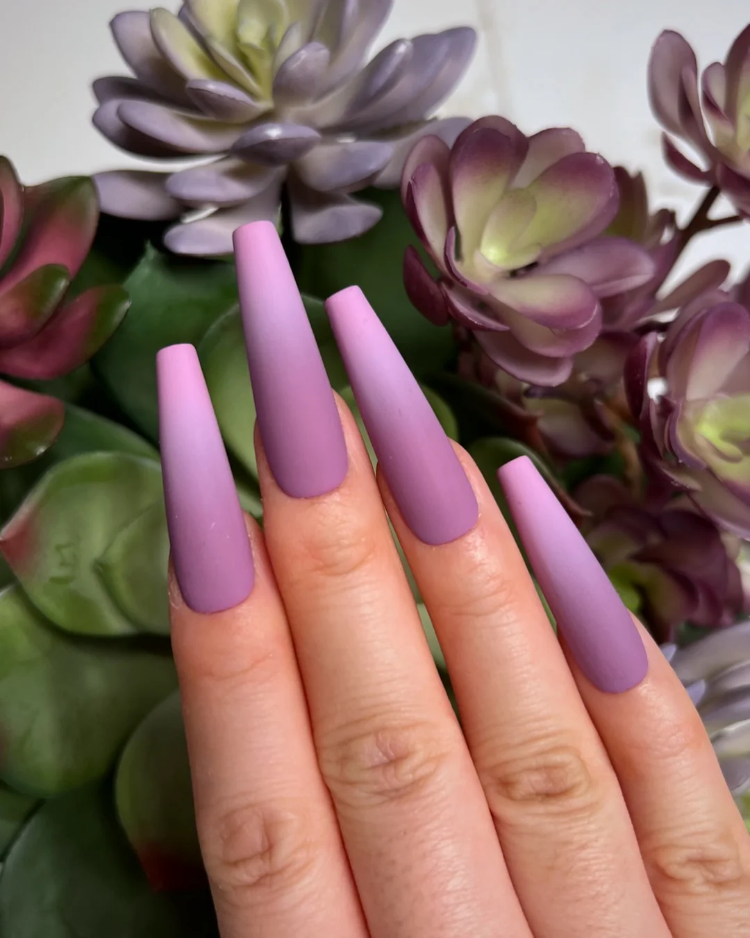 Succulent III - Nail Gallerys