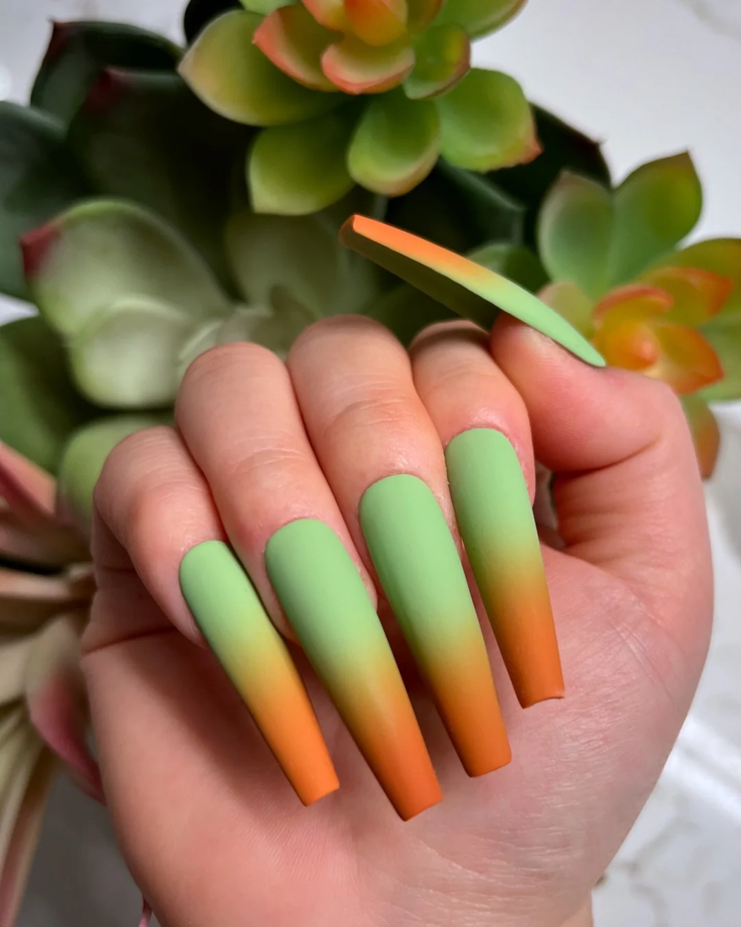 Succulent II - Nail Gallerys