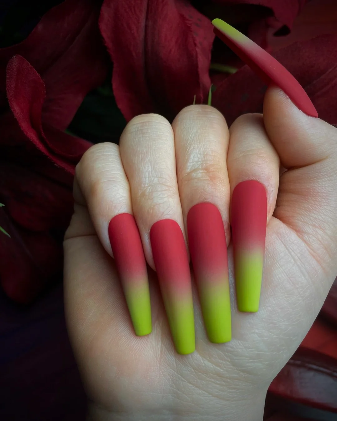 Poinsettias - Nail Gallerys