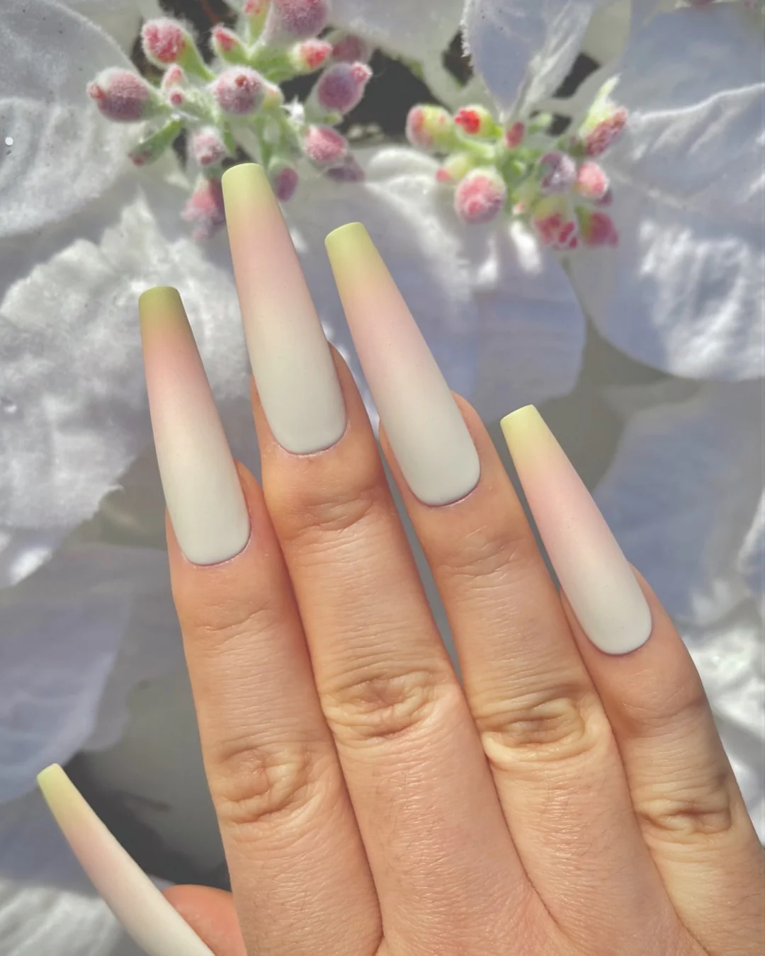 White Poinsettia - Nail Gallerys