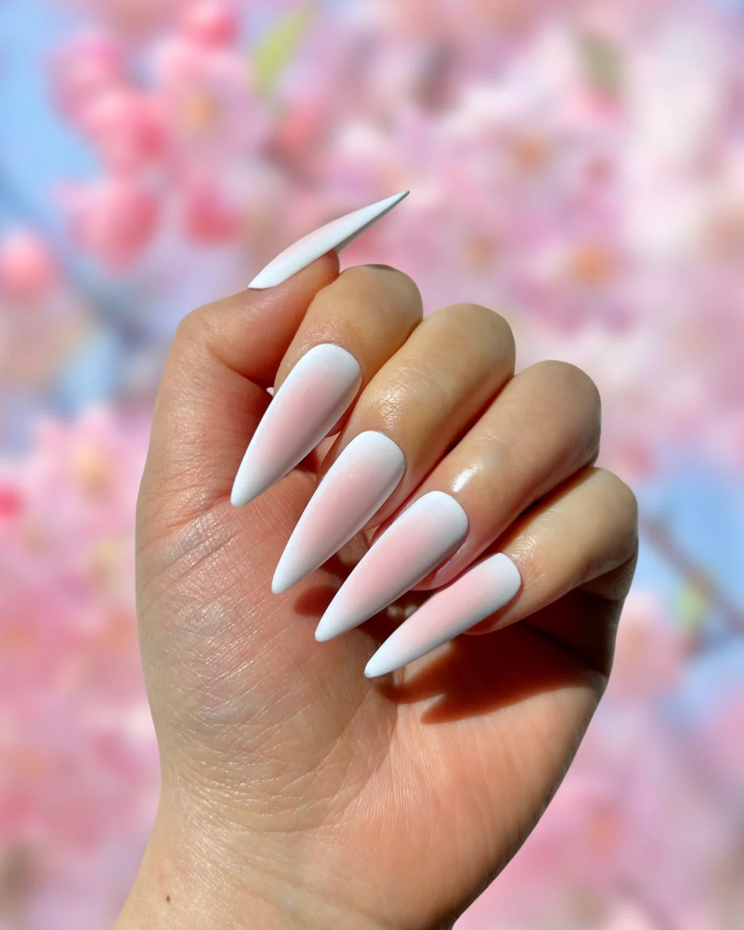 Ichiyou - Nail Gallerys