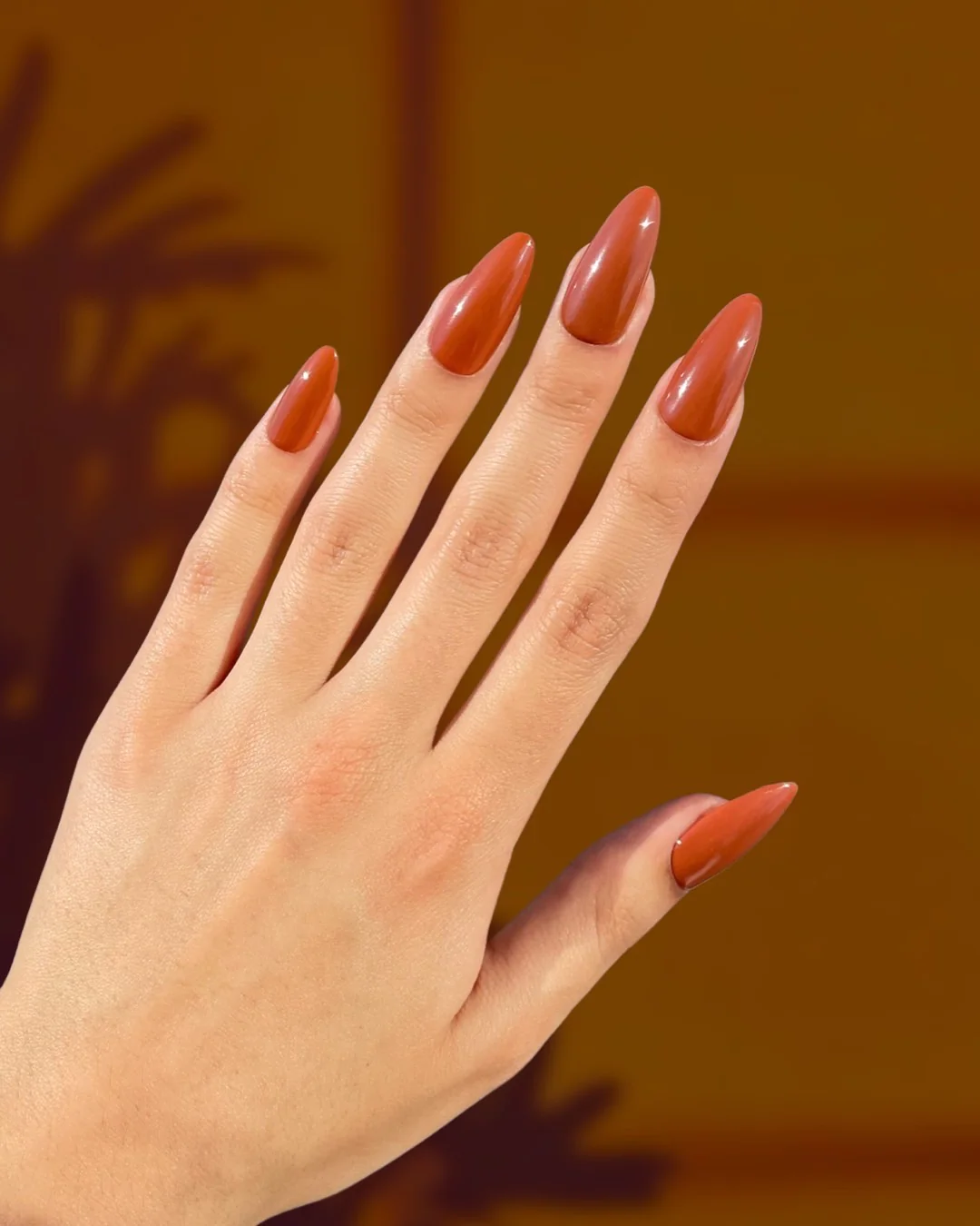 Nutmeg - Nail Gallerys