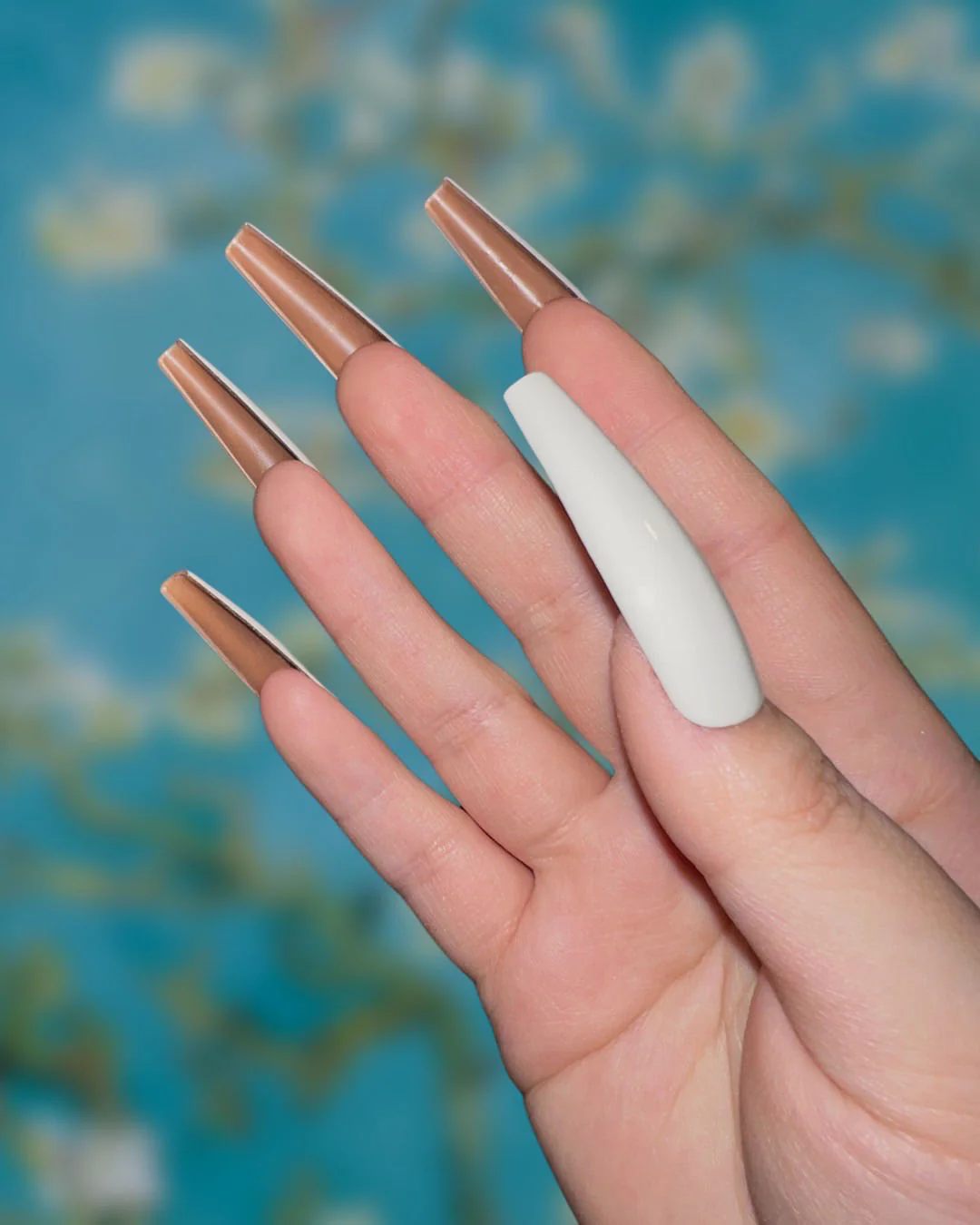 Van Gogh Jo - Nail Gallerys