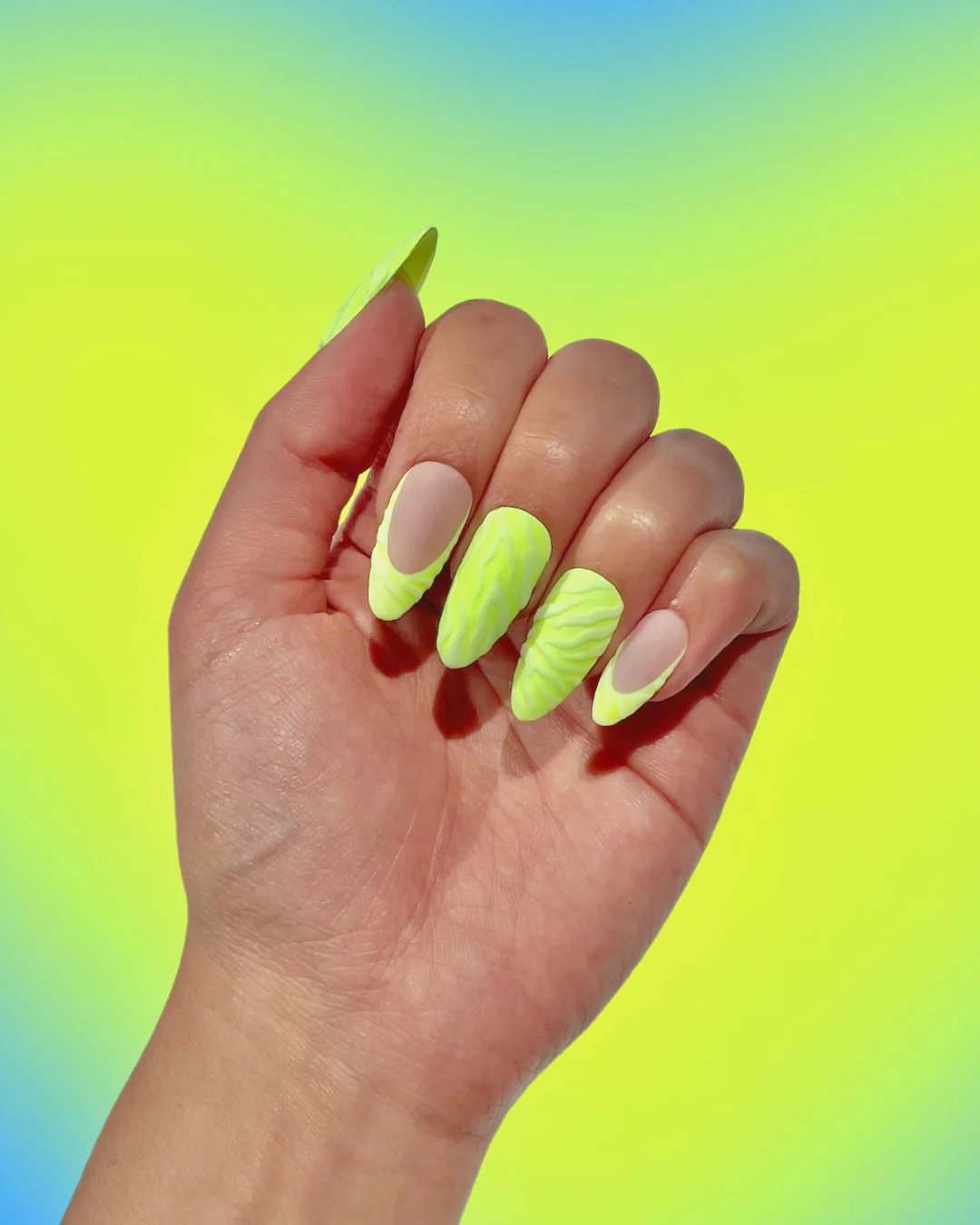 Hi-Lite Zebra - Nail Gallerys