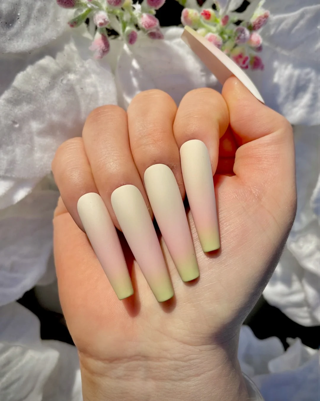 White Poinsettia - Nail Gallerys