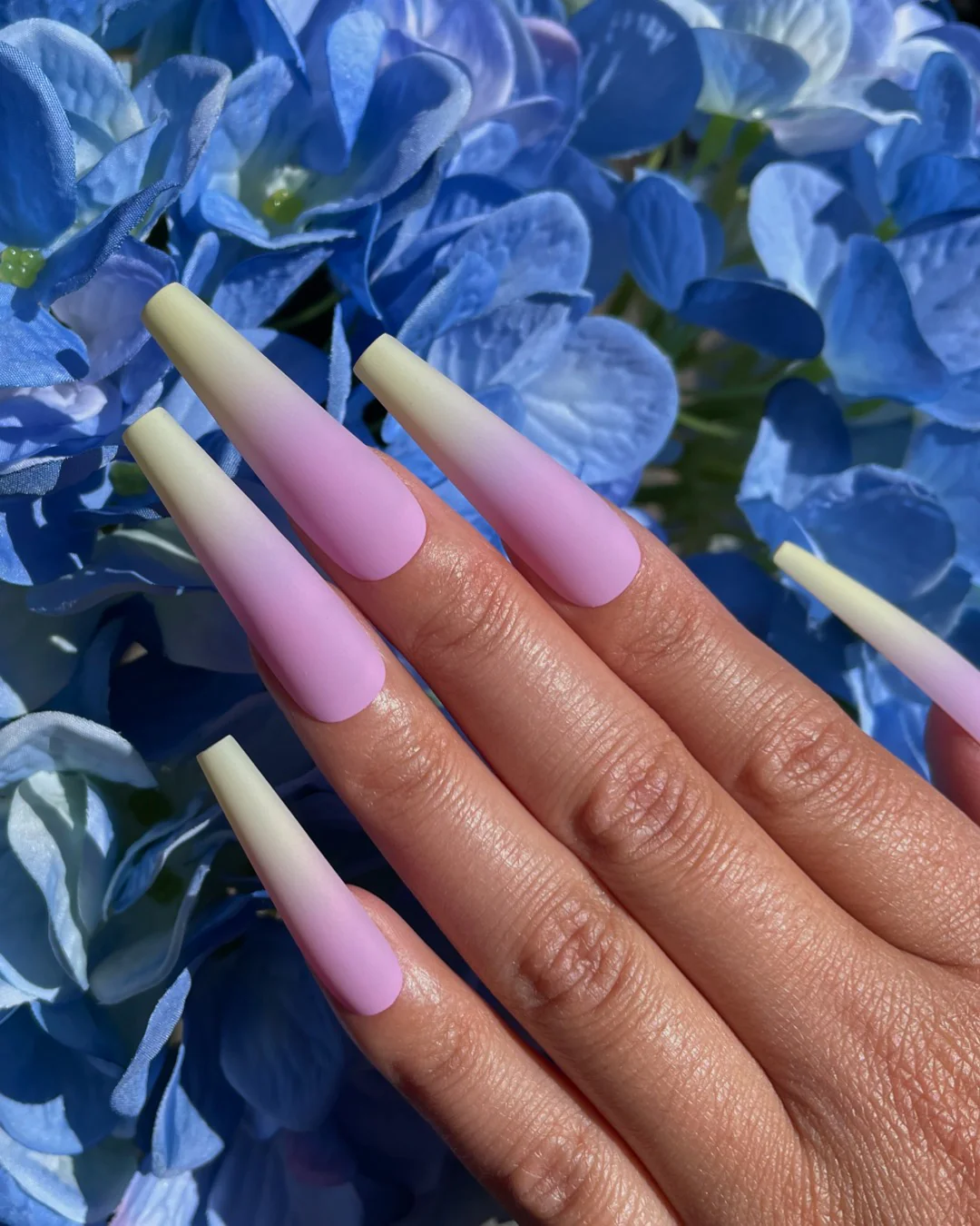 Hydrangea Pink - Nail Gallerys