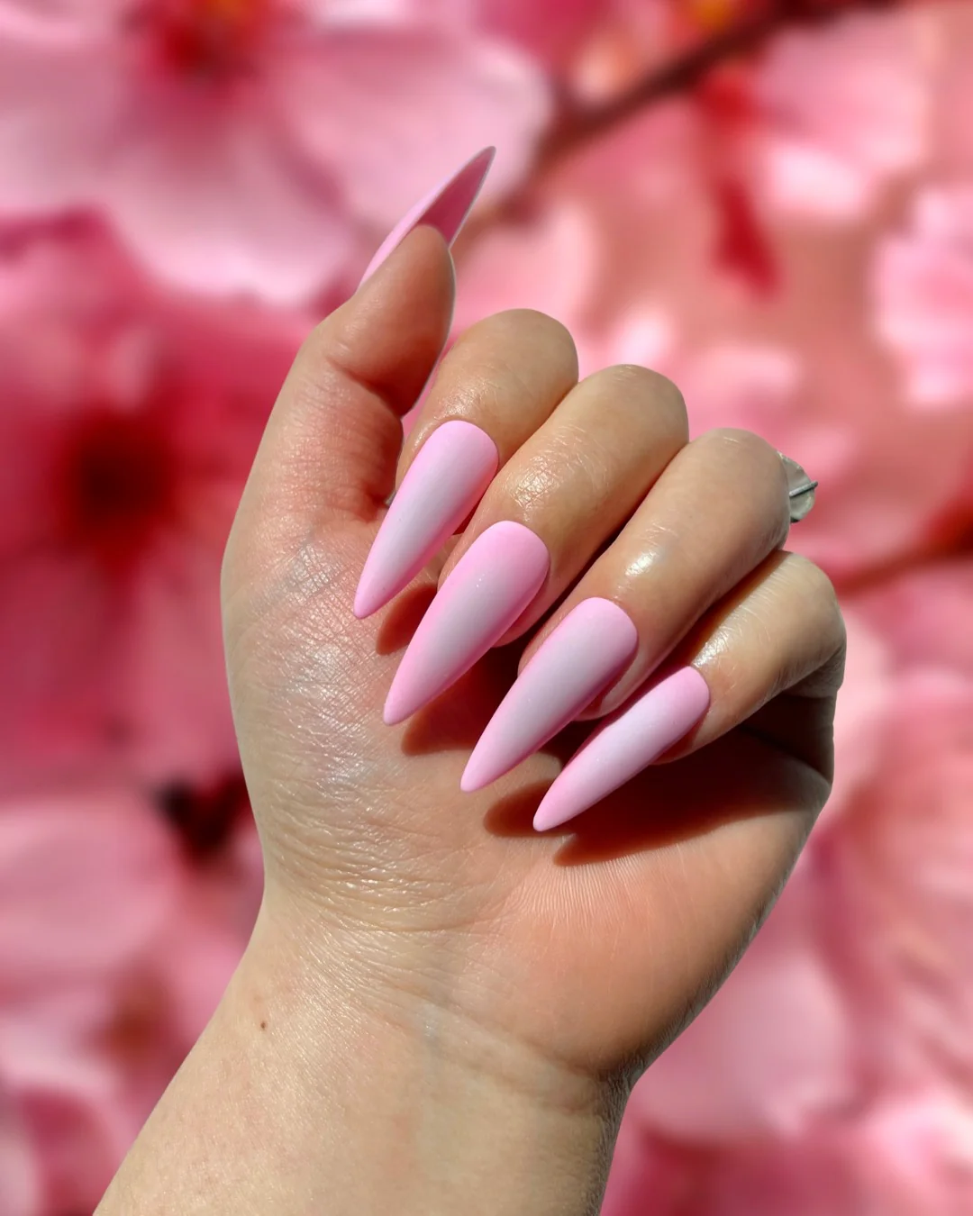 Kanzan - Nail Gallerys