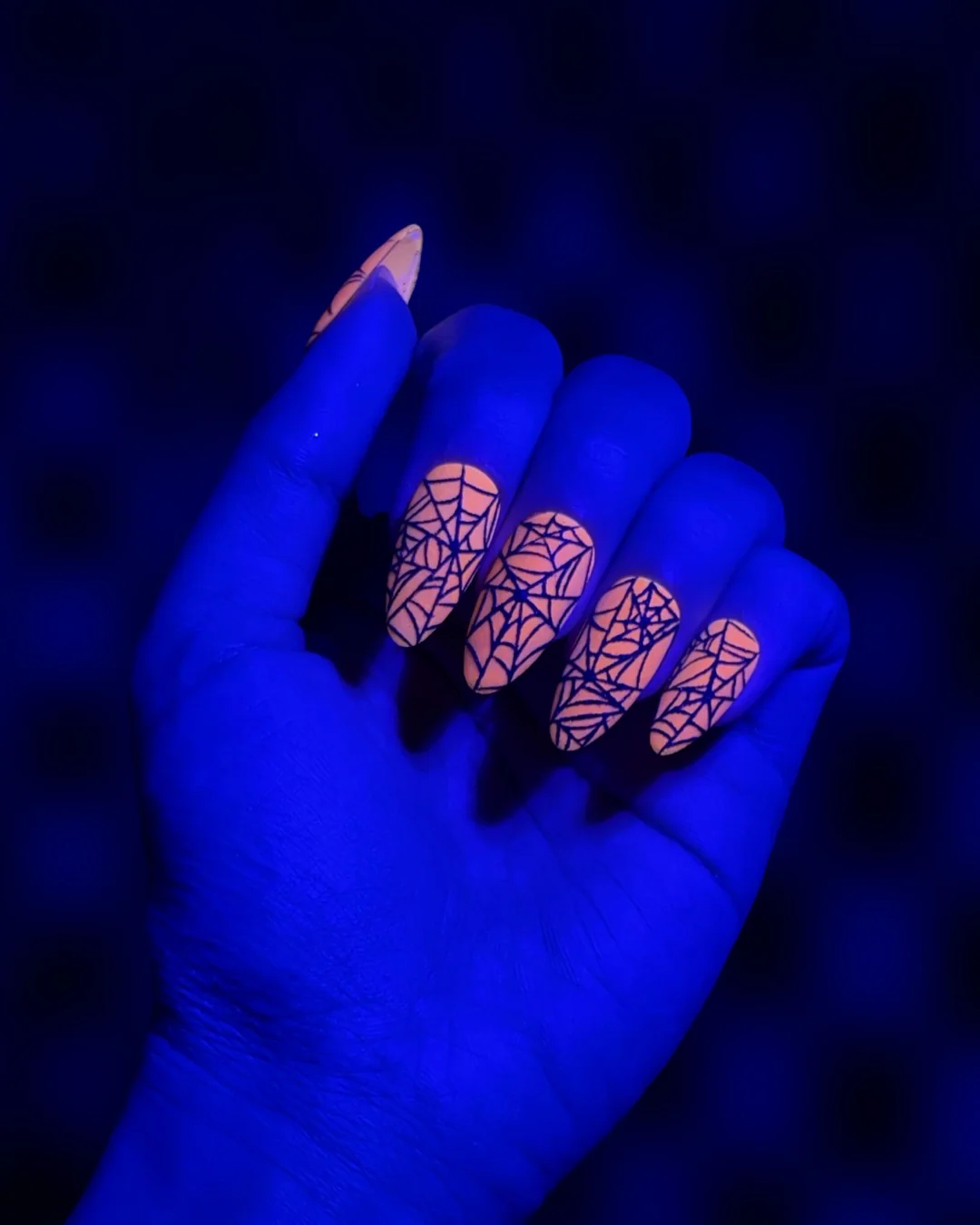 Halloween Cobweb - Nail Gallerys