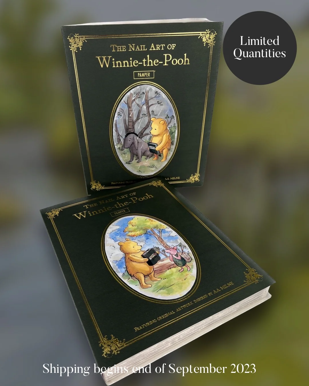 Winnie-the-Pooh Mystery Box - Nail Gallerys