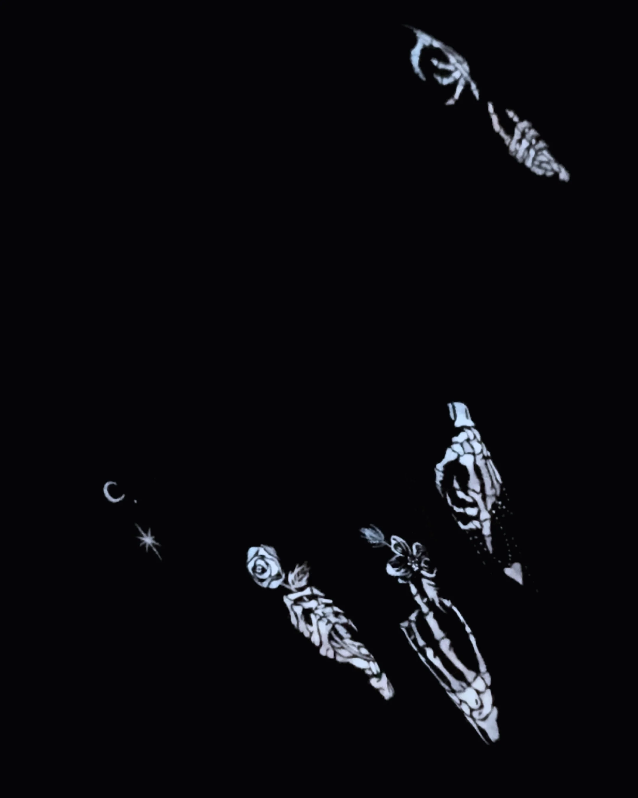 Metacarpals - Nail Gallerys