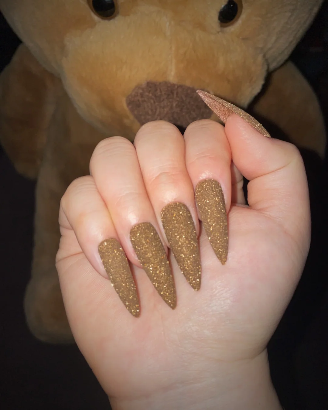 Teddy - Nail Gallerys