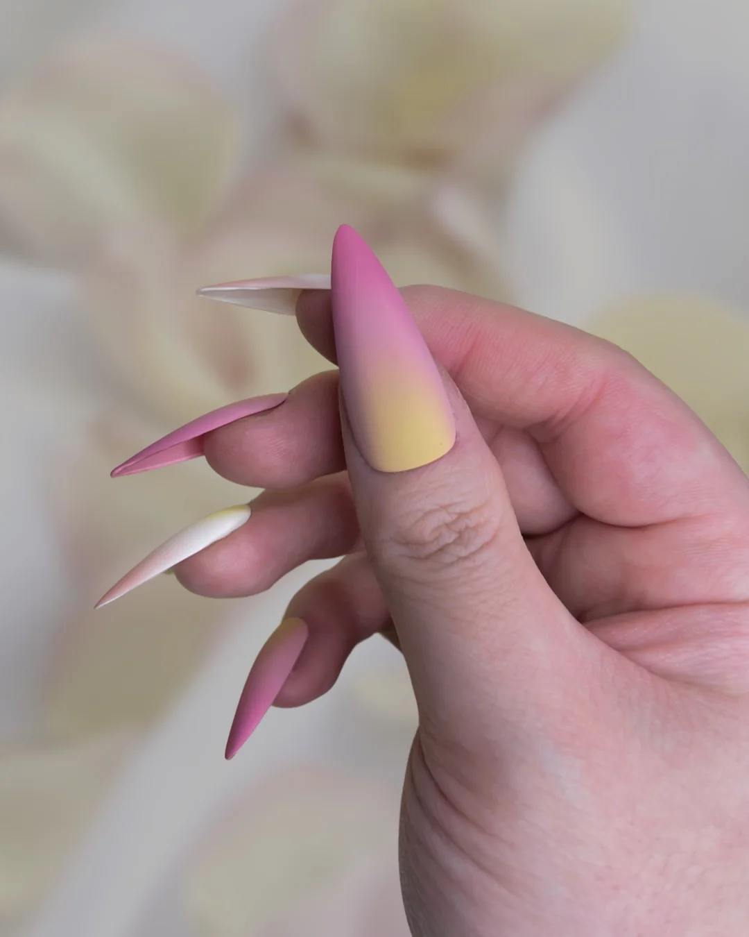 Blush Champagne - Nail Gallerys