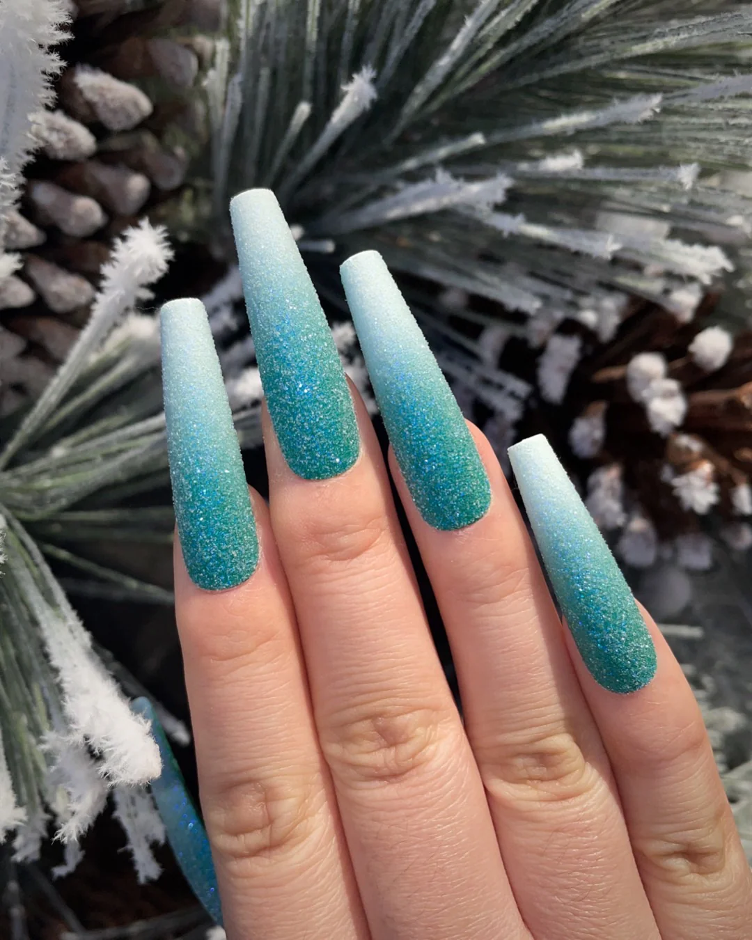 Frosted Spruce - Nail Gallerys