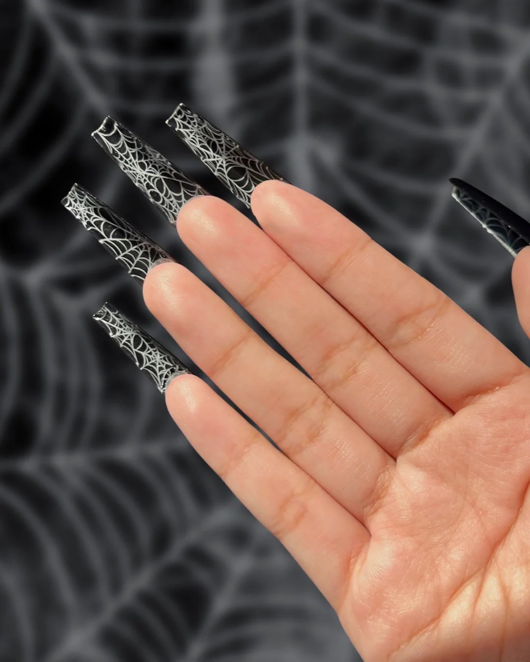 Cobweb Bottoms - Nail Gallerys