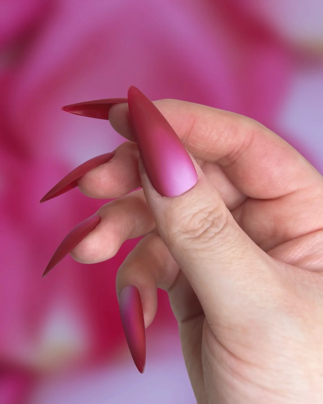 Darcey Rose - Nail Gallerys