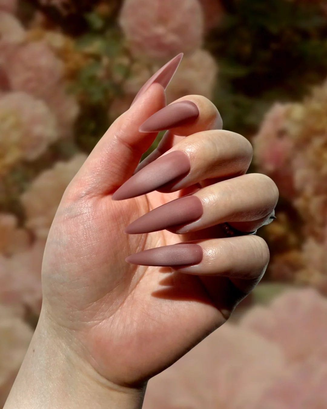 Velveteen Finery - Nail Gallerys