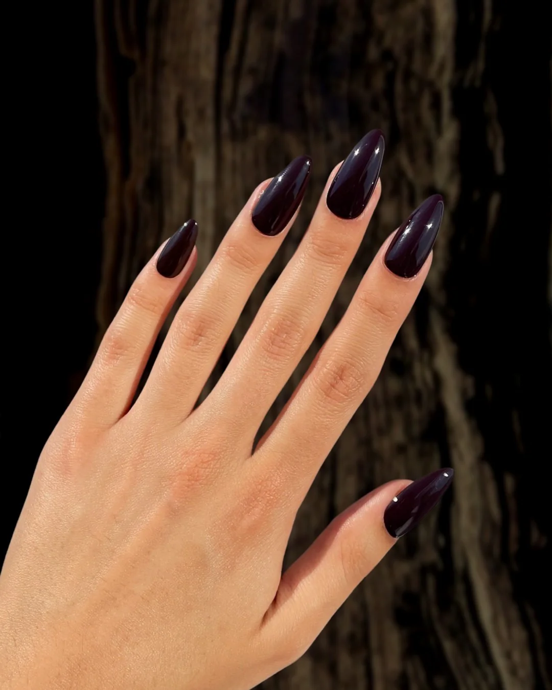 Espresso - Nail Gallerys