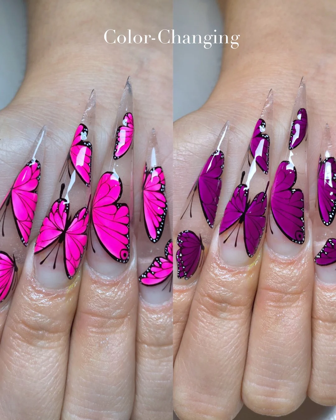 Flutter Metamorphosis I - Nail Gallerys