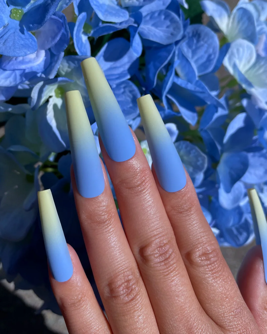 Hydrangea Blue - Nail Gallerys