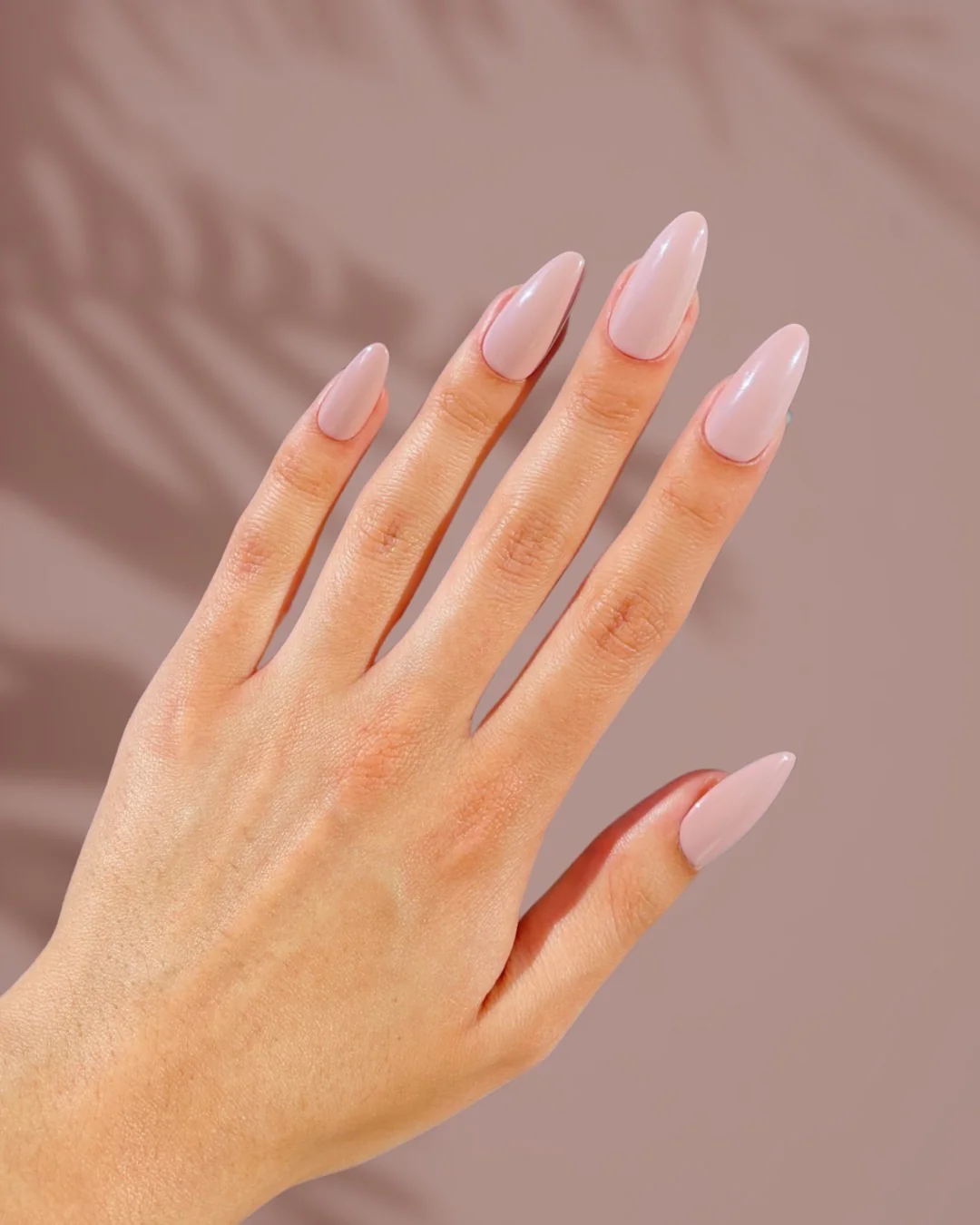 Chai - Nail Gallerys