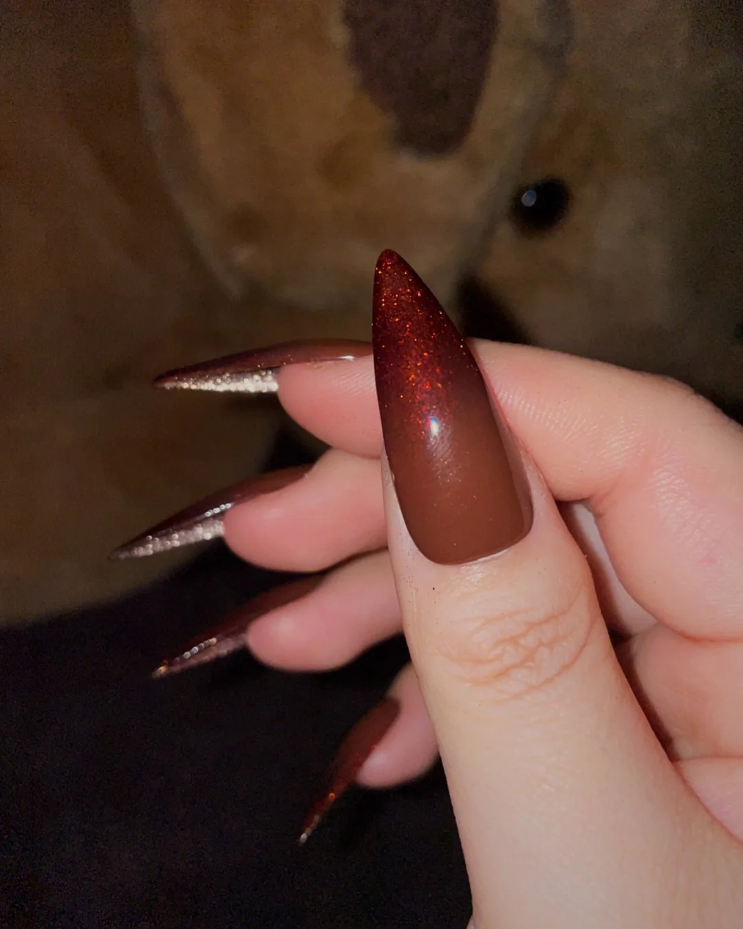 Paddington - Nail Gallerys