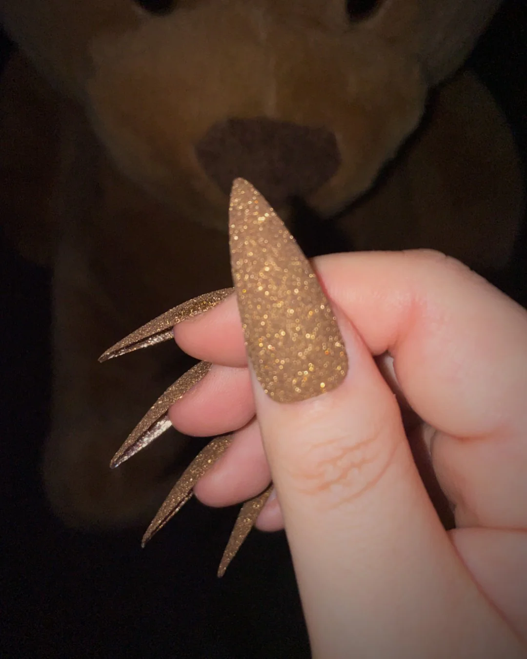 Teddy - Nail Gallerys