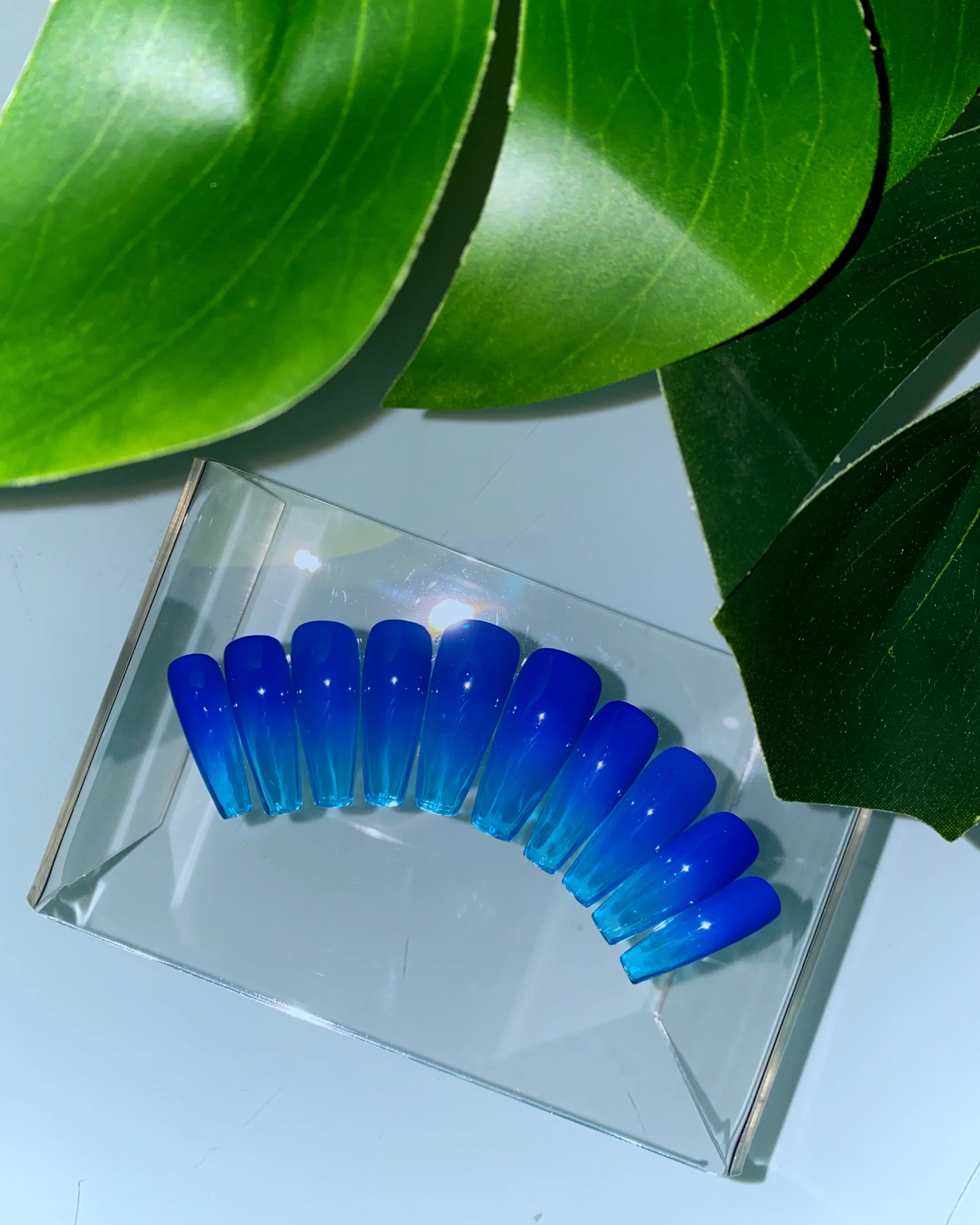 Berry Blue - Nail Gallerys