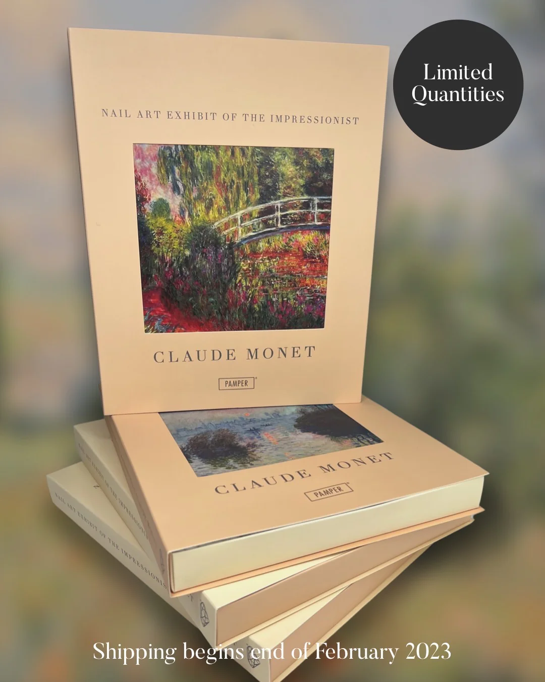 Claude Monet Mystery Box - Nail Gallerys