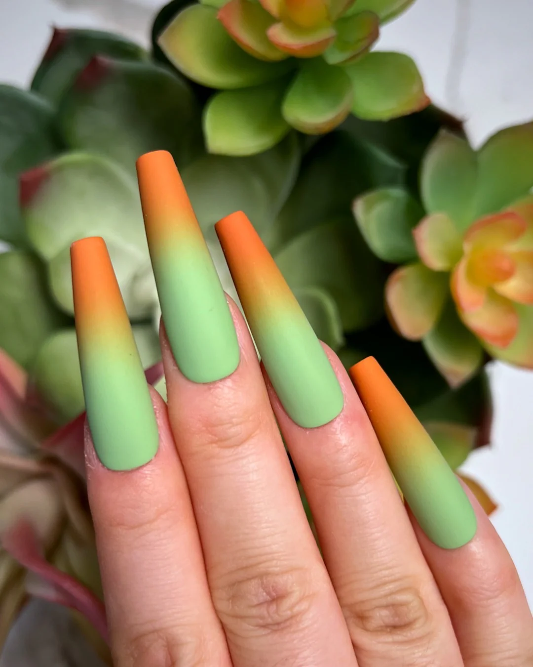 Succulent II - Nail Gallerys