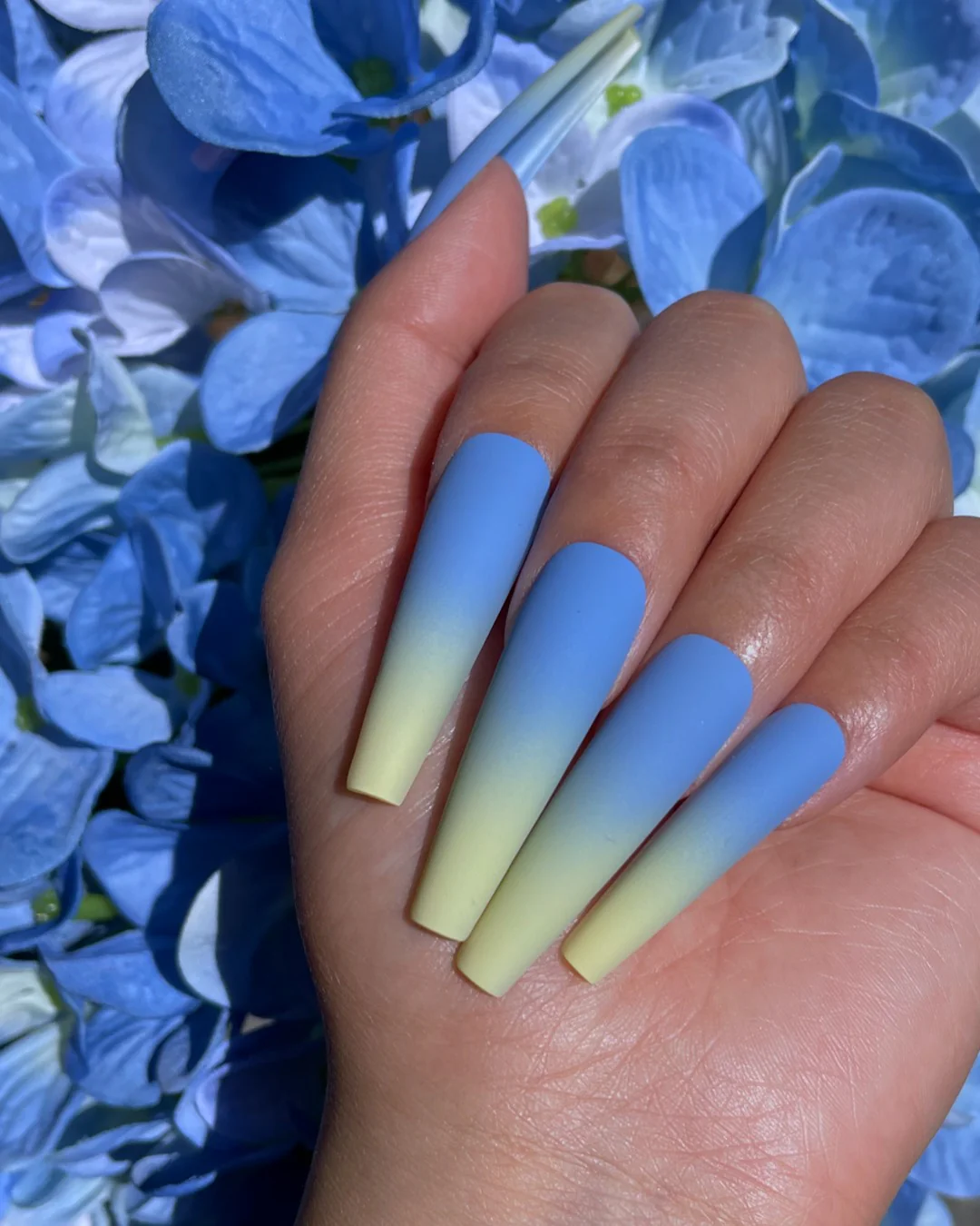 Hydrangea Blue - Nail Gallerys