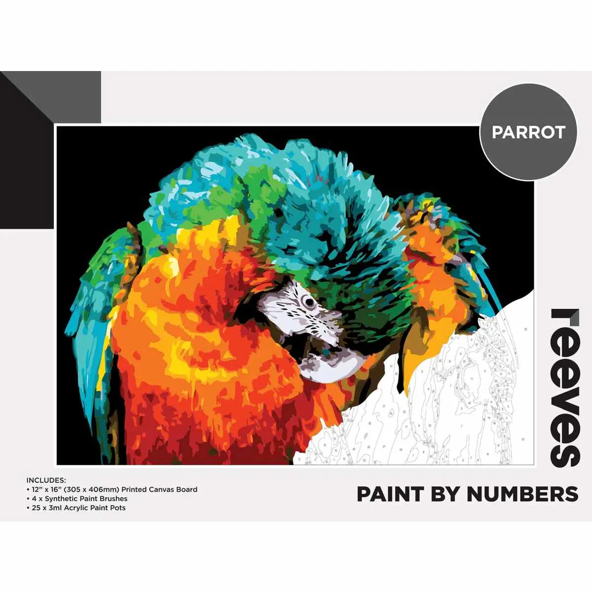 Reeves Paint By Numbers 12x16 Inch Parrot - Nail Gallerys