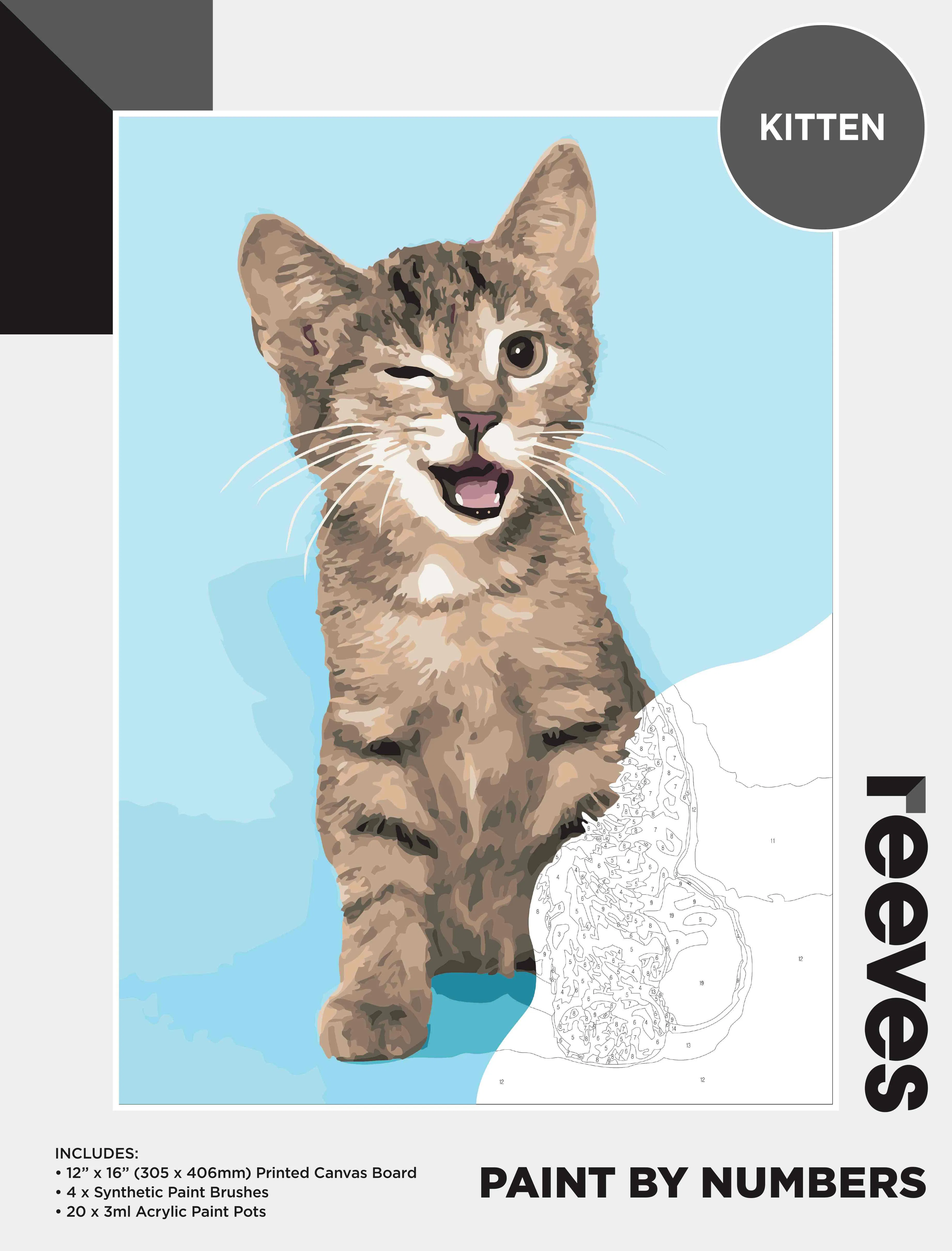 Reeves Paint By Numbers 12x16 Inch Kitten - Nail Gallerys