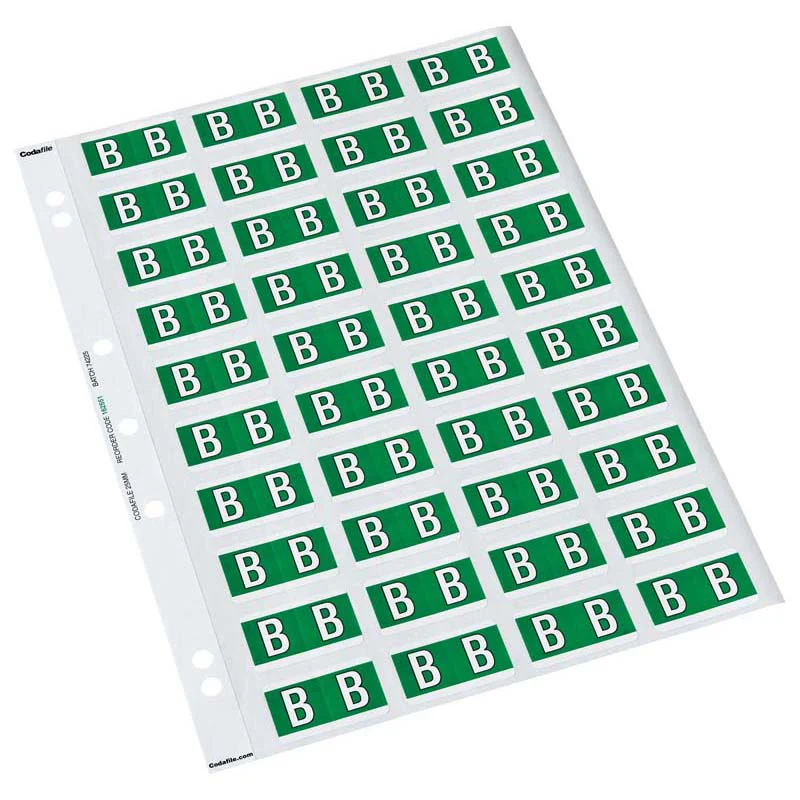 Codafile Label Alpha 25mm Pack Of 5 Sheets - Nail Gallerys