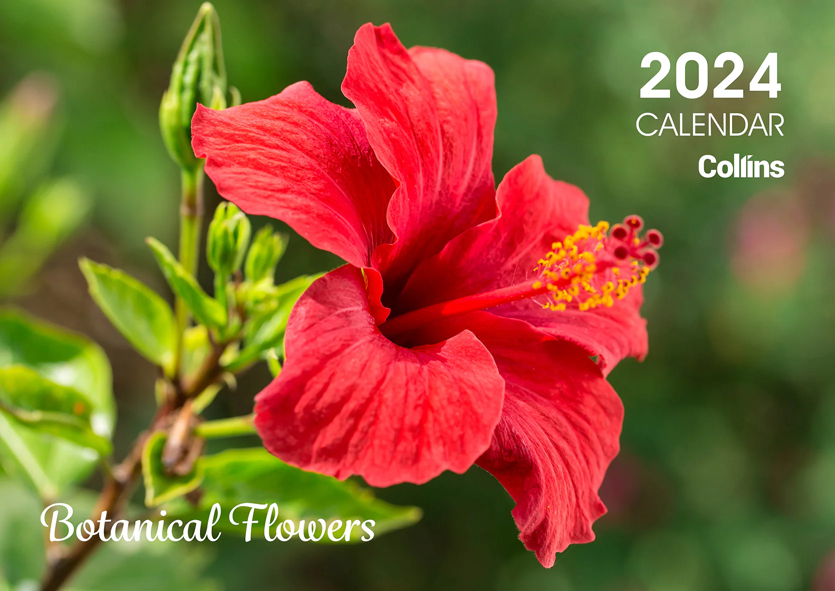 Collins Rosebank Wall Calendar A4 Botanical Flowers - Nail Gallerys