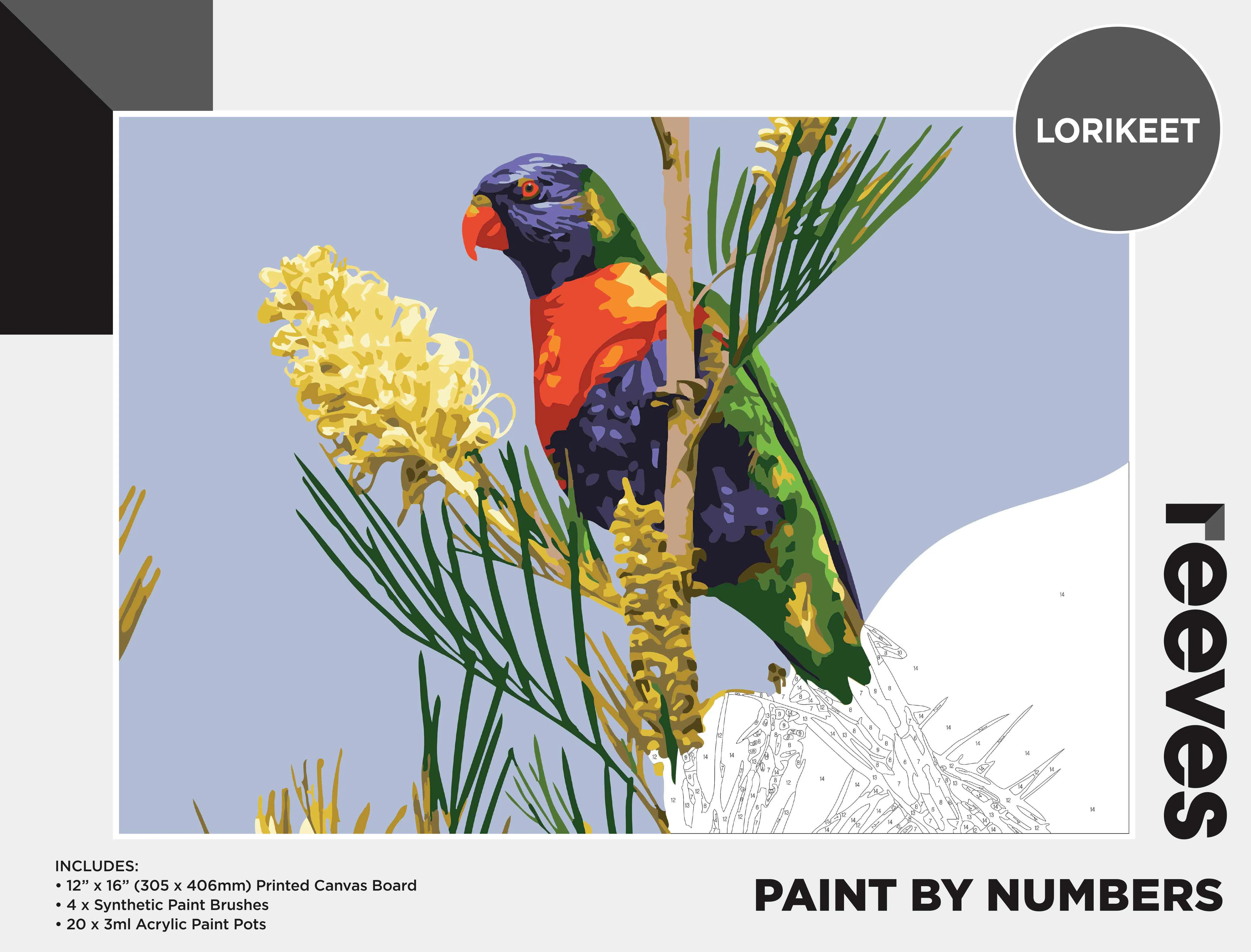 Reeves Paint By Numbers 12x16 Inch Lorikeet - Nail Gallerys