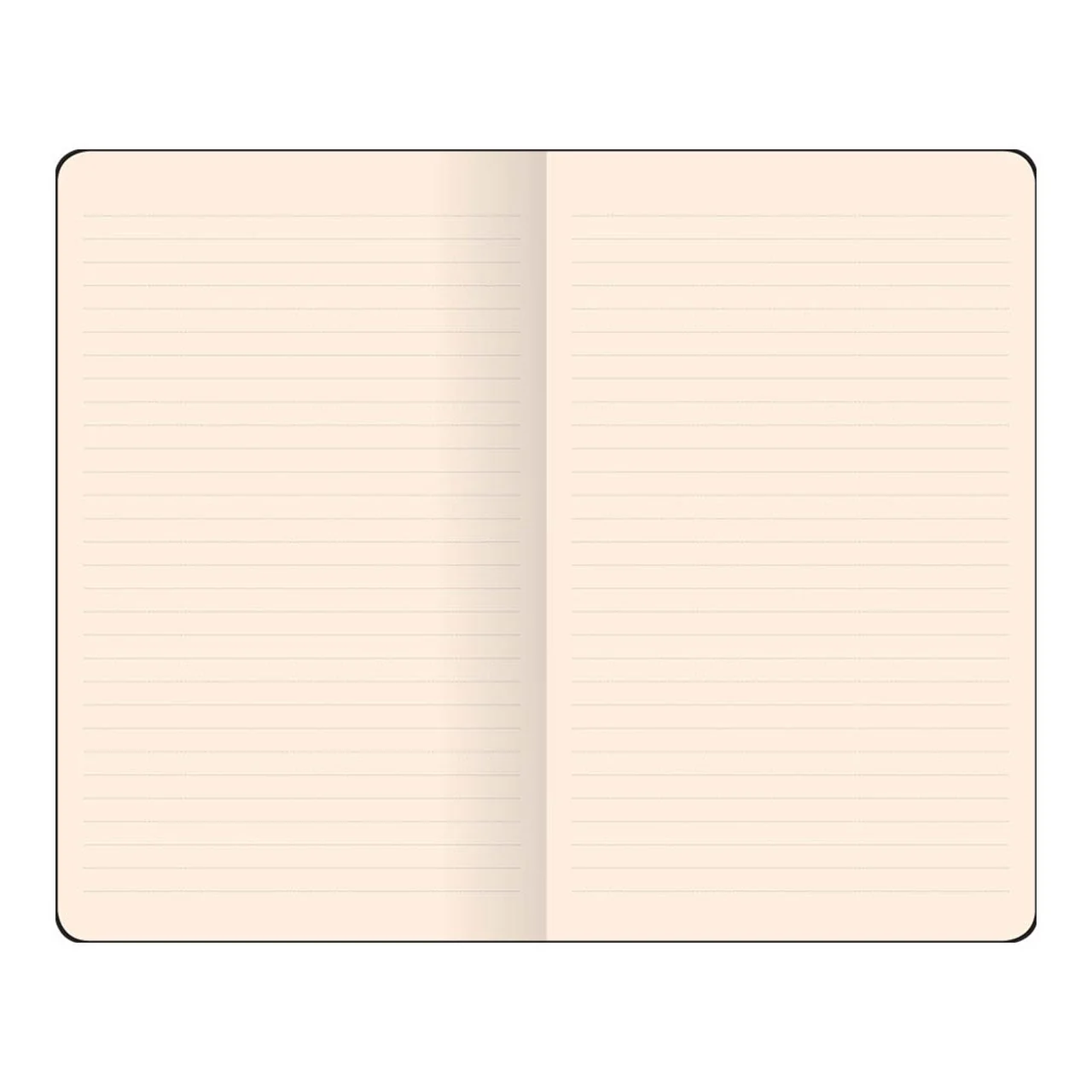 Flexbook Smartbook Notebook Pocket Ruled - Nail Gallerys