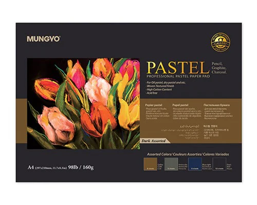 Mungyo Pastel Pad 160gsm Dark 30 Sheets A4 - Nail Gallerys