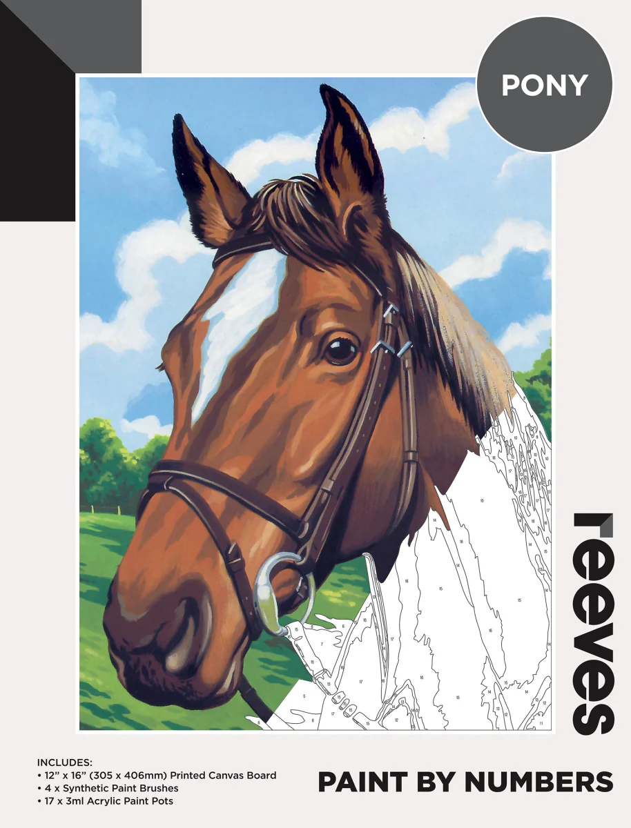 Reeves Paint By Numbers 12x16 Inch Horse - Nail Gallerys
