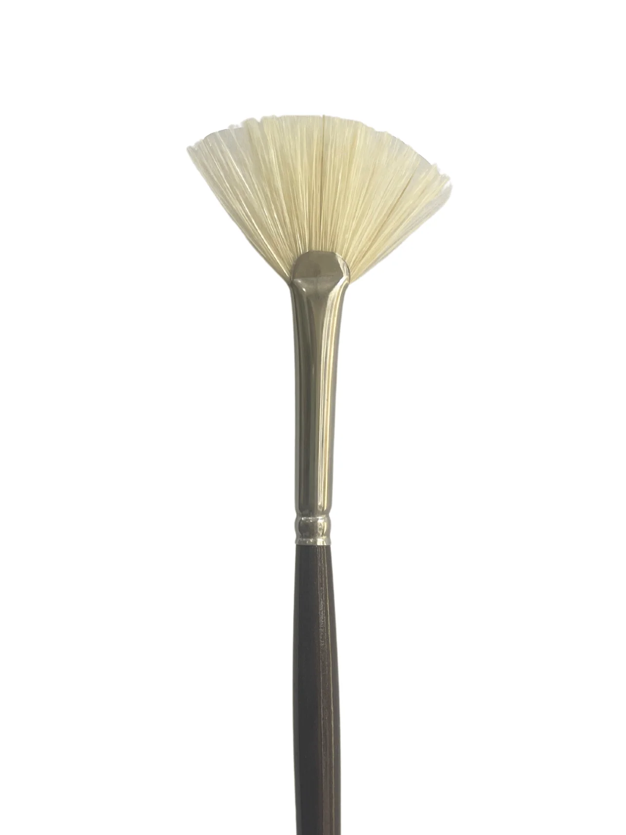 Das S1180 Hog & Taklon Fan Long Handle Brushes - Nail Gallerys