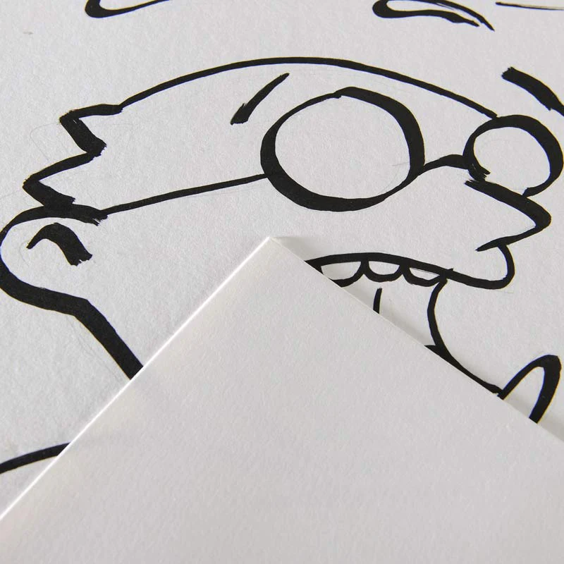 Canson Illustration 50x65cm 250g (25 Sheets) - Nail Gallerys