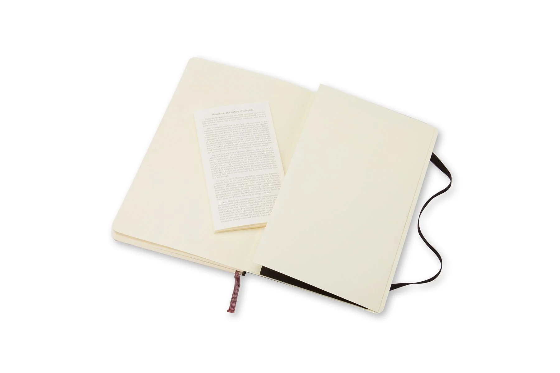 Moleskine Large Ruled Soft Cover Notebooks - Nail Gallerys