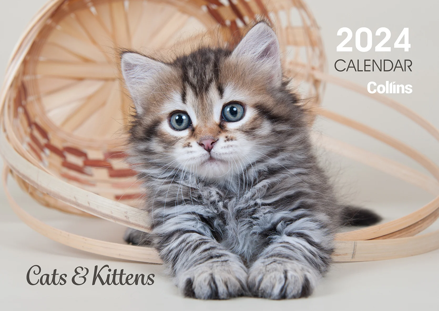Collins Rosebank Wall Calendar A4 Cats & Kittens - Nail Gallerys